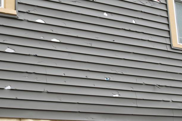 Affordable Siding Repair and Maintenance Services in Manor, PA